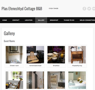 Plas Efenechtyd Cottage B&B